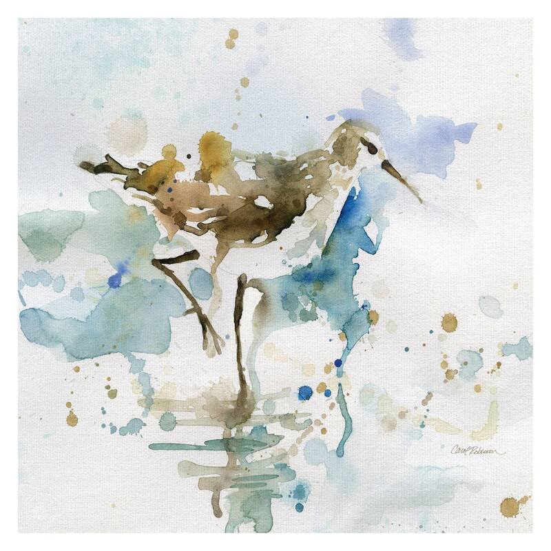 Masterpiece Art Gallery Malibu Sand Piper Bird By Carol Robinson Canvas Art Print - 16x16