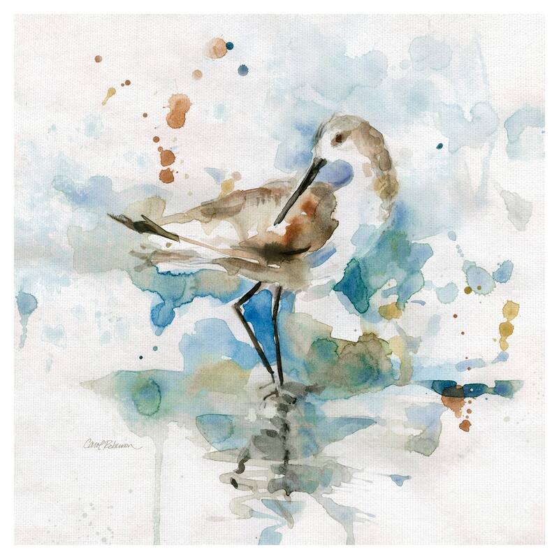 Masterpiece Art Gallery Malibu Sand Piper Bird By Carol Robinson Canvas Art Print - 12x12
