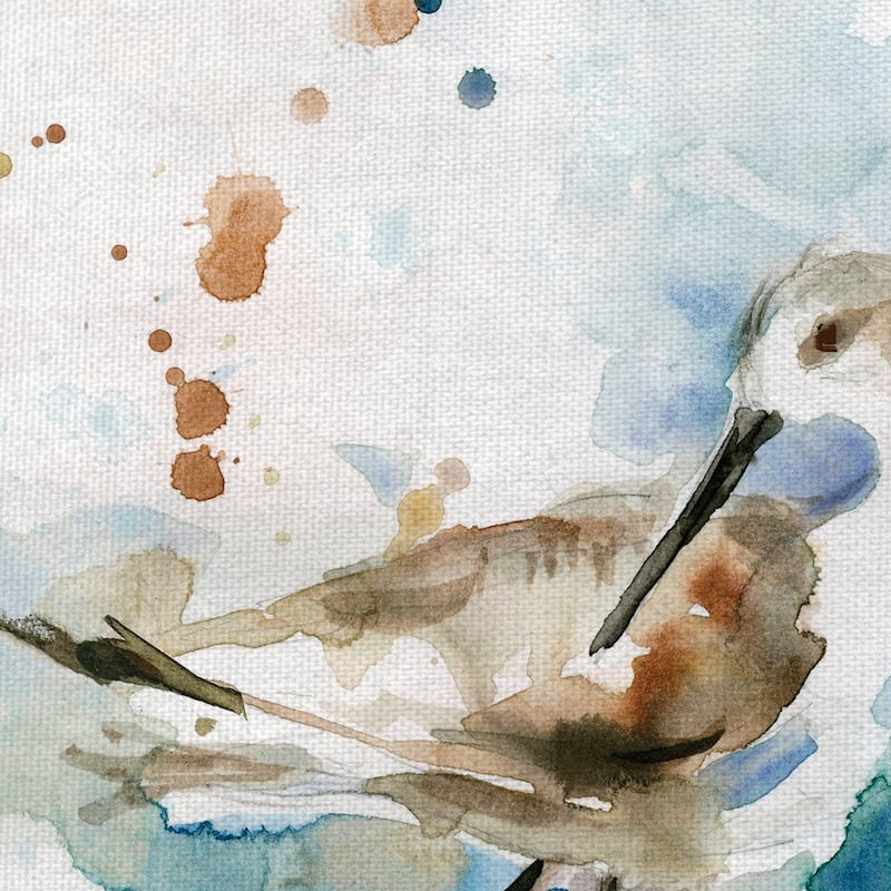 Masterpiece Art Gallery Malibu Sand Piper Bird By Carol Robinson Canvas Art Print