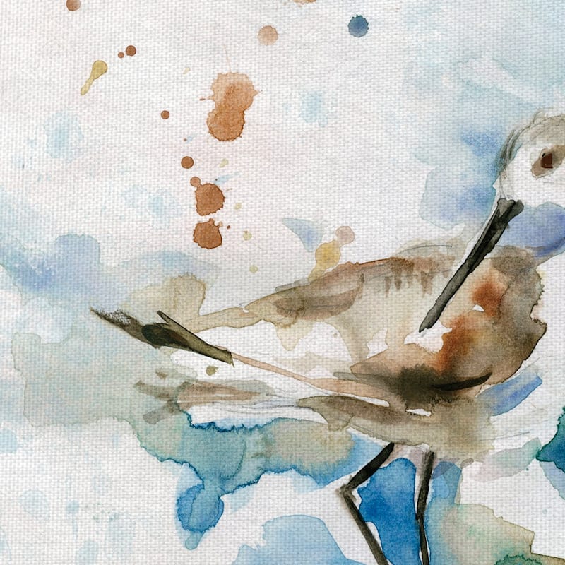Masterpiece Art Gallery Malibu Sand Piper Bird By Carol Robinson Canvas Art Print