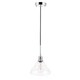 preview thumbnail 5 of 12, Caressa 8.5-Inch 1-Light Clear Seeded Glass Chrome