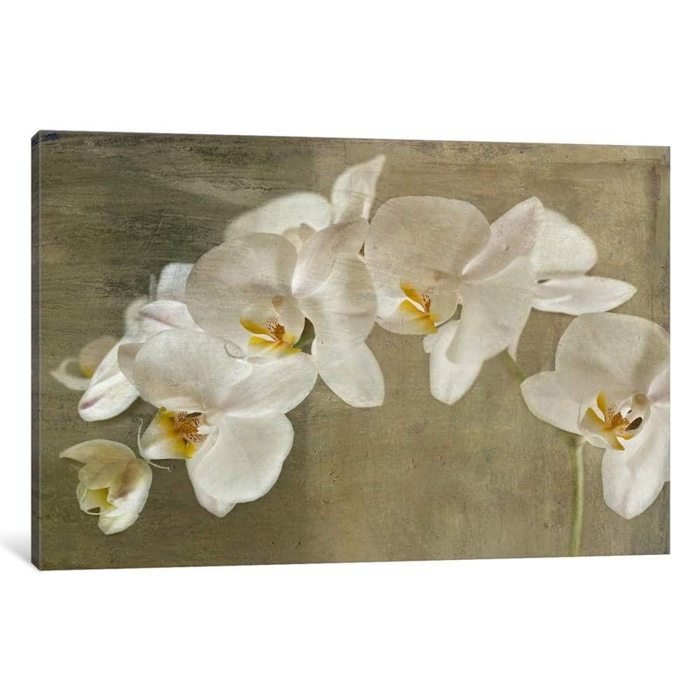 iCanvas "Painted Orchid" by Symposium Design