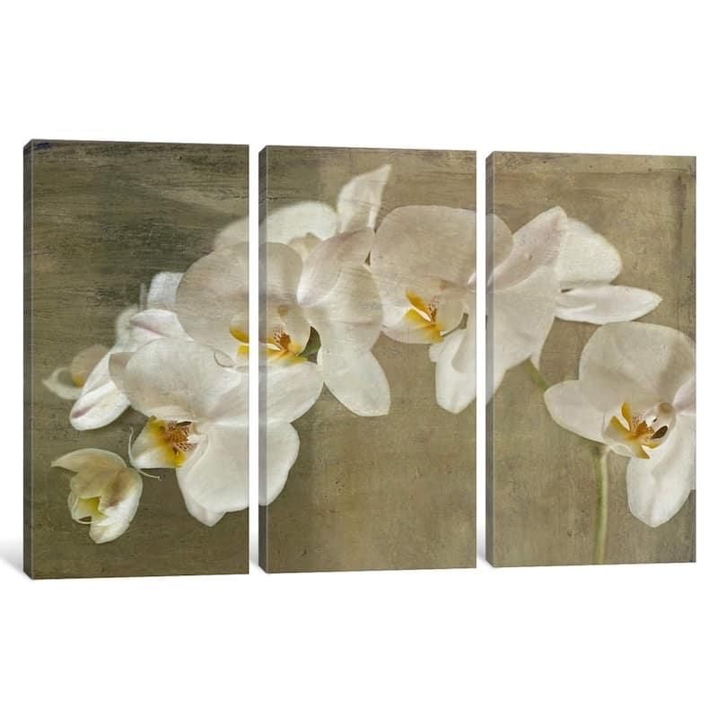iCanvas "Painted Orchid" by Symposium Design