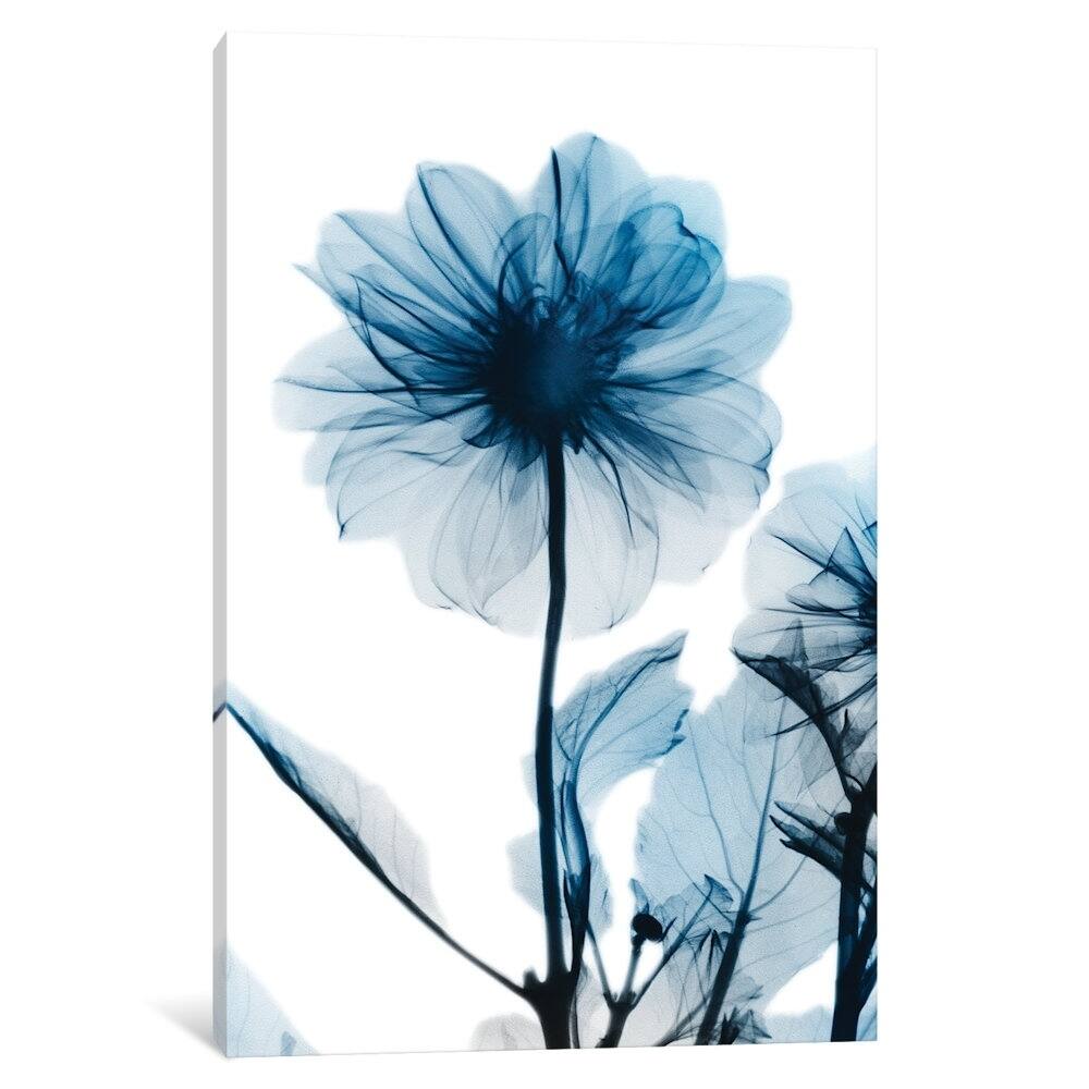 iCanvas "Sapphire Gleam II" by Albert Koetsier