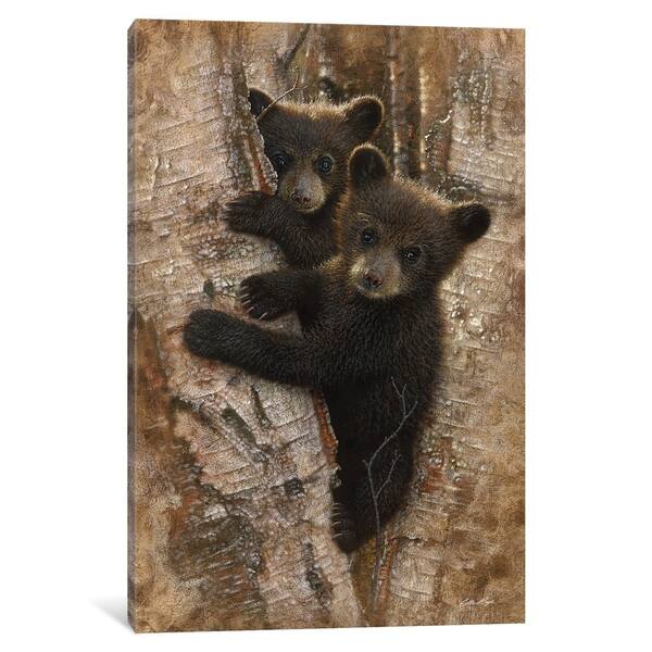Shop Icanvas Curious Black Bear Cubs Vertical By Collin Bogle