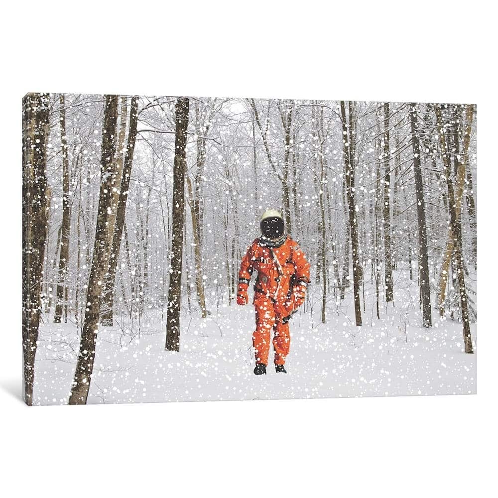 iCanvas "Lost in Colorado II" by Jason Brueck