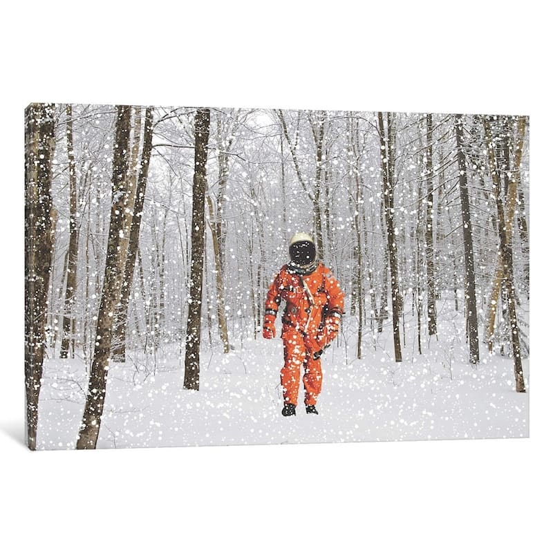 iCanvas "Lost in Colorado II" by Jason Brueck