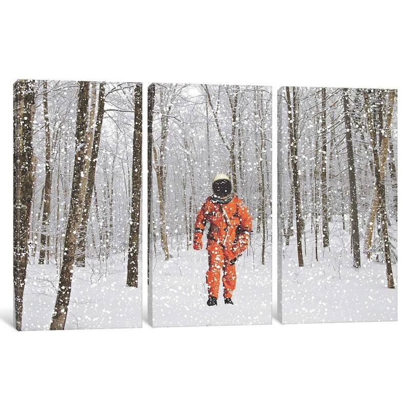 iCanvas "Lost in Colorado II" by Jason Brueck
