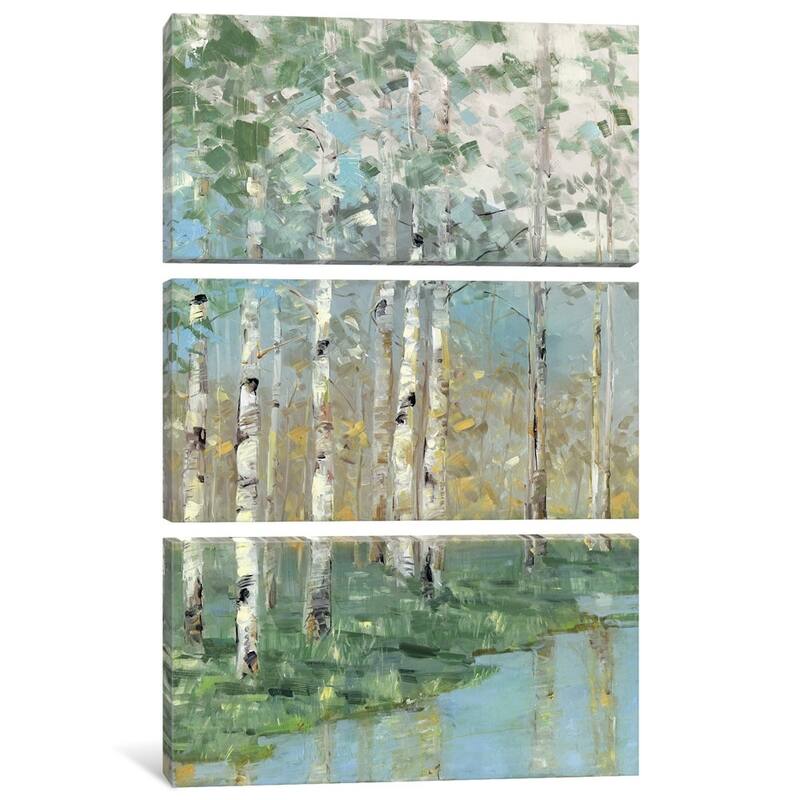iCanvas "Birch Reflections I" by Sally Swatland