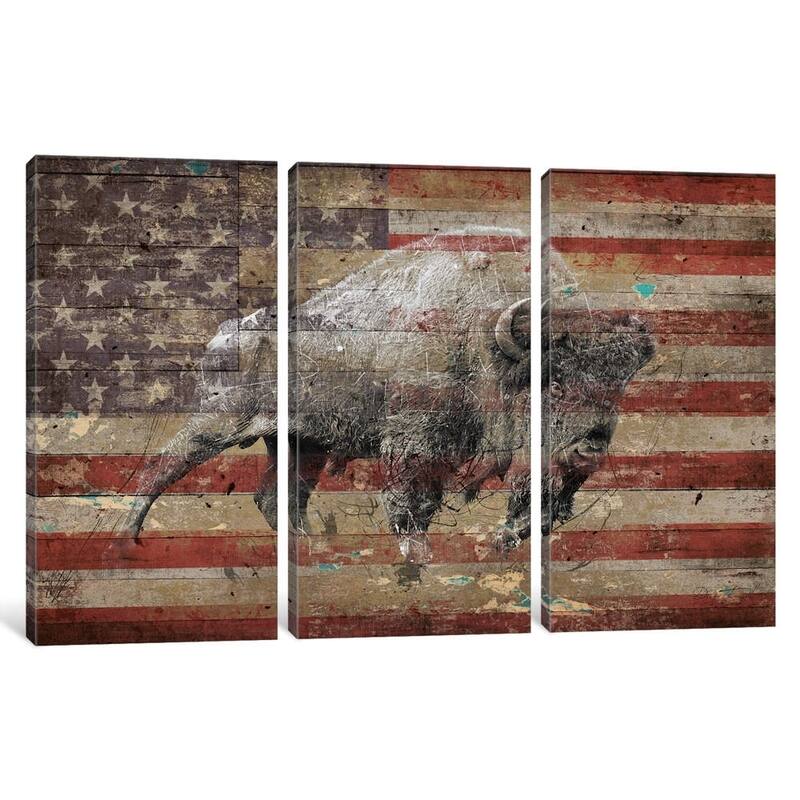 iCanvas "American Bison II" by Diego Tirigall