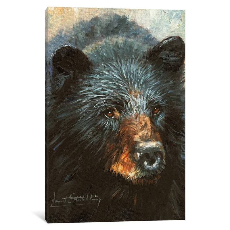 iCanvas "Black Bear" by David Stribbling