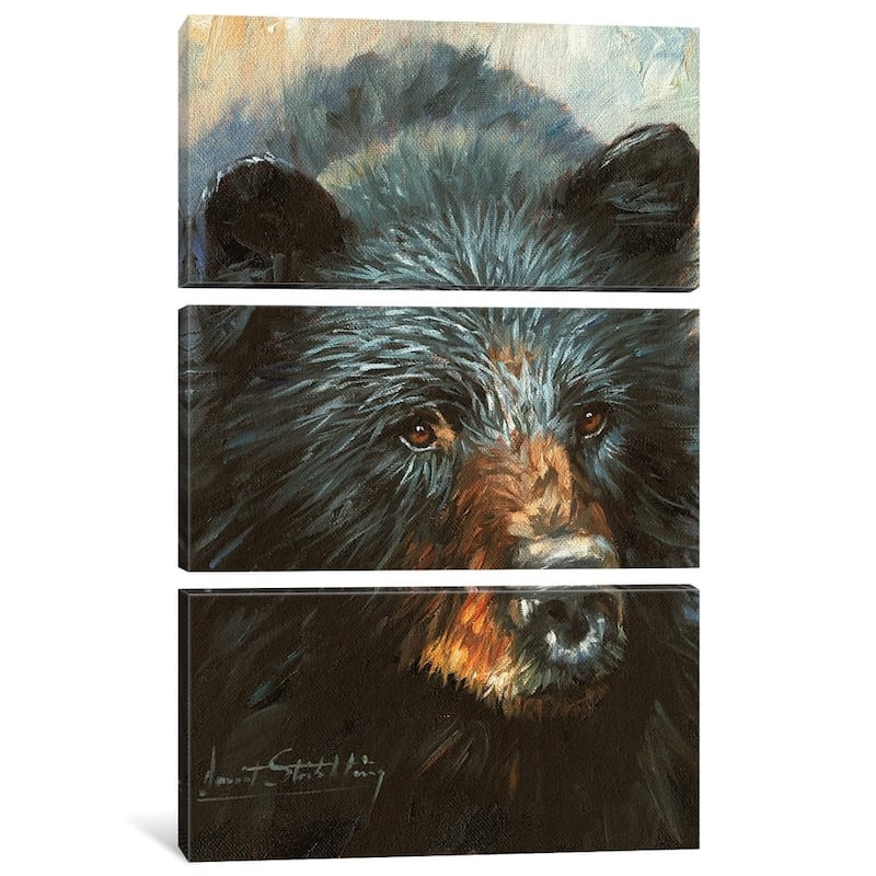 iCanvas "Black Bear" by David Stribbling