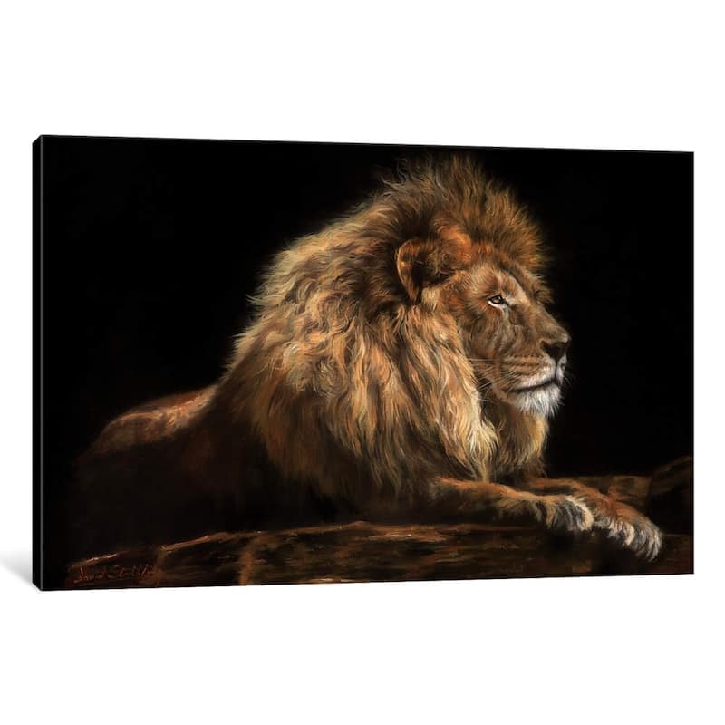 iCanvas "Golden Lion" by David Stribbling