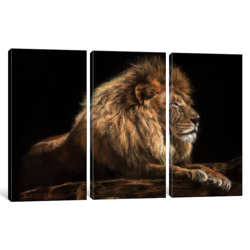 iCanvas "Golden Lion" by David Stribbling
