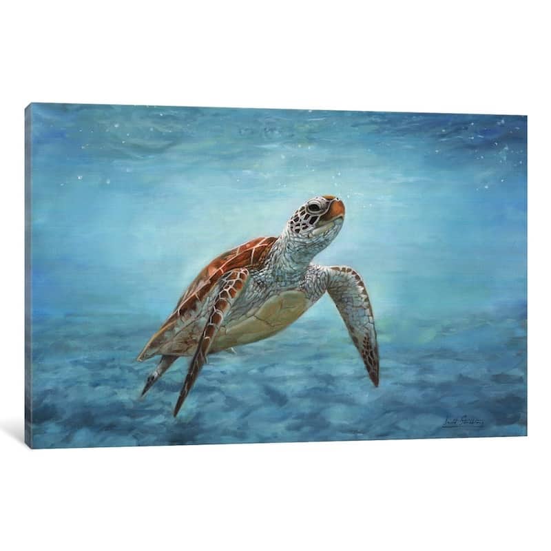 iCanvas "Sea Turtle" by David Stribbling