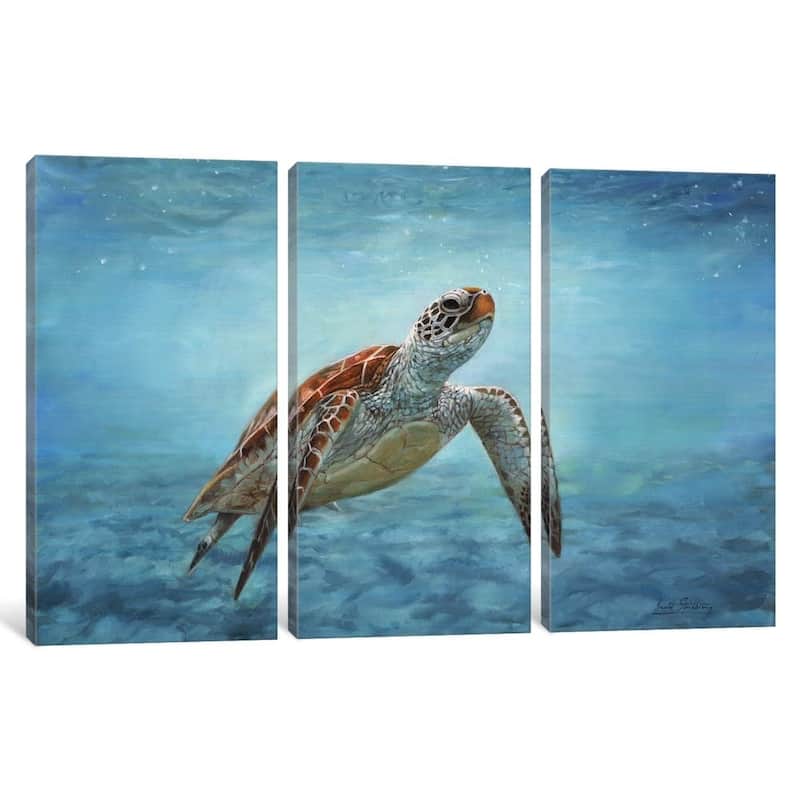 iCanvas "Sea Turtle" by David Stribbling