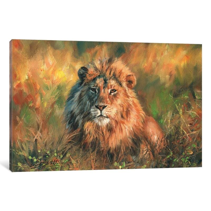 iCanvas "Lion At Sunset" by David Stribbling