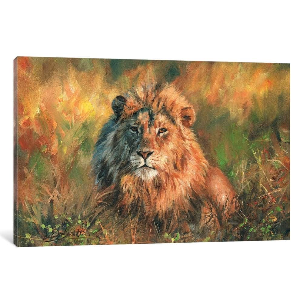 iCanvas "Lion At Sunset" by David Stribbling