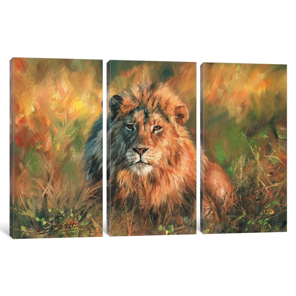 iCanvas "Lion At Sunset" by David Stribbling