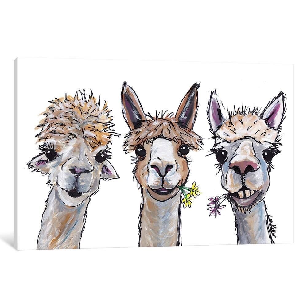 iCanvas "Alpacas Trio II" by Hippie Hound Studios