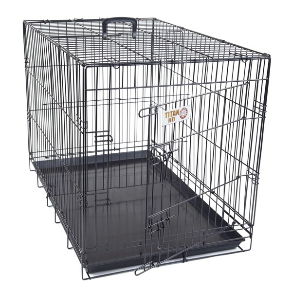 folding dog crate
