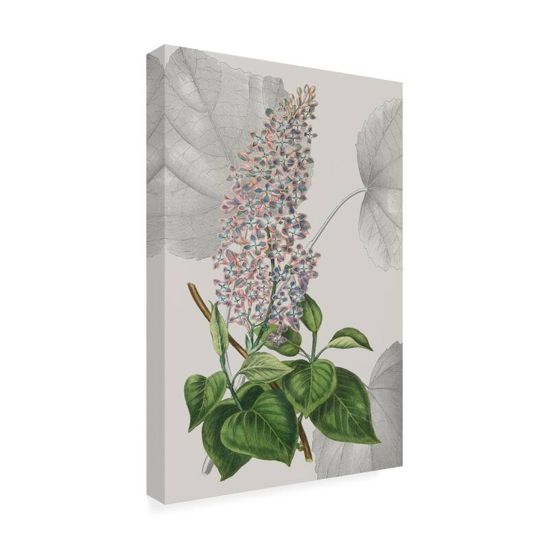 Vision Studio 'Botanical Arrangement IV' Canvas Art