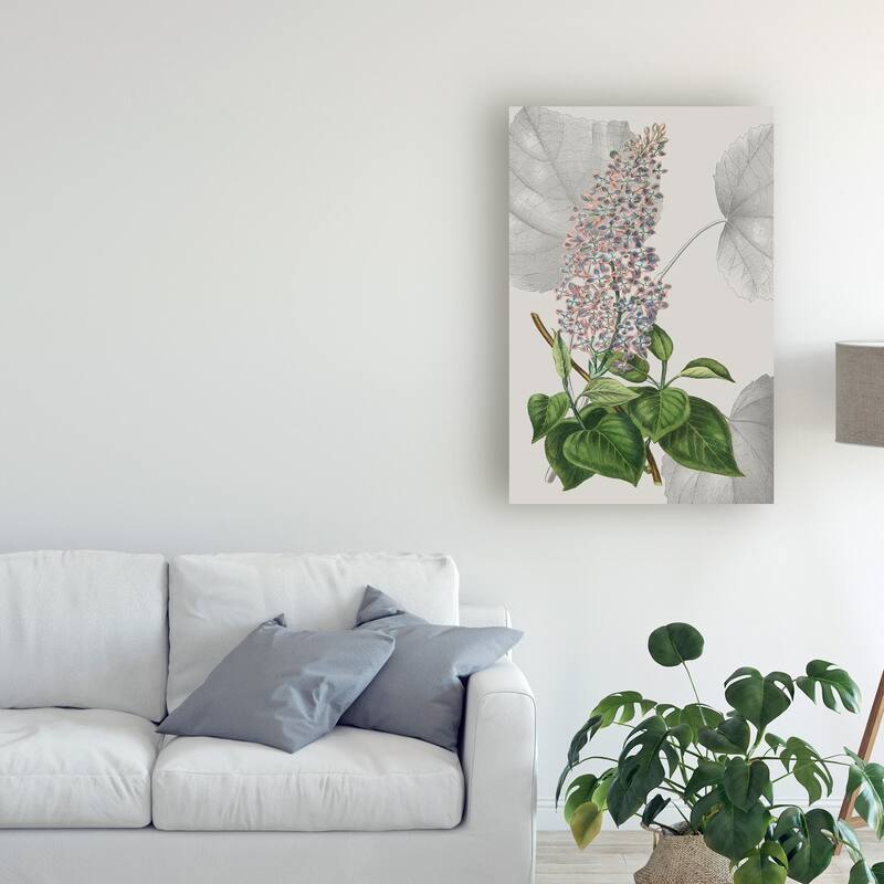 Vision Studio 'Botanical Arrangement IV' Canvas Art