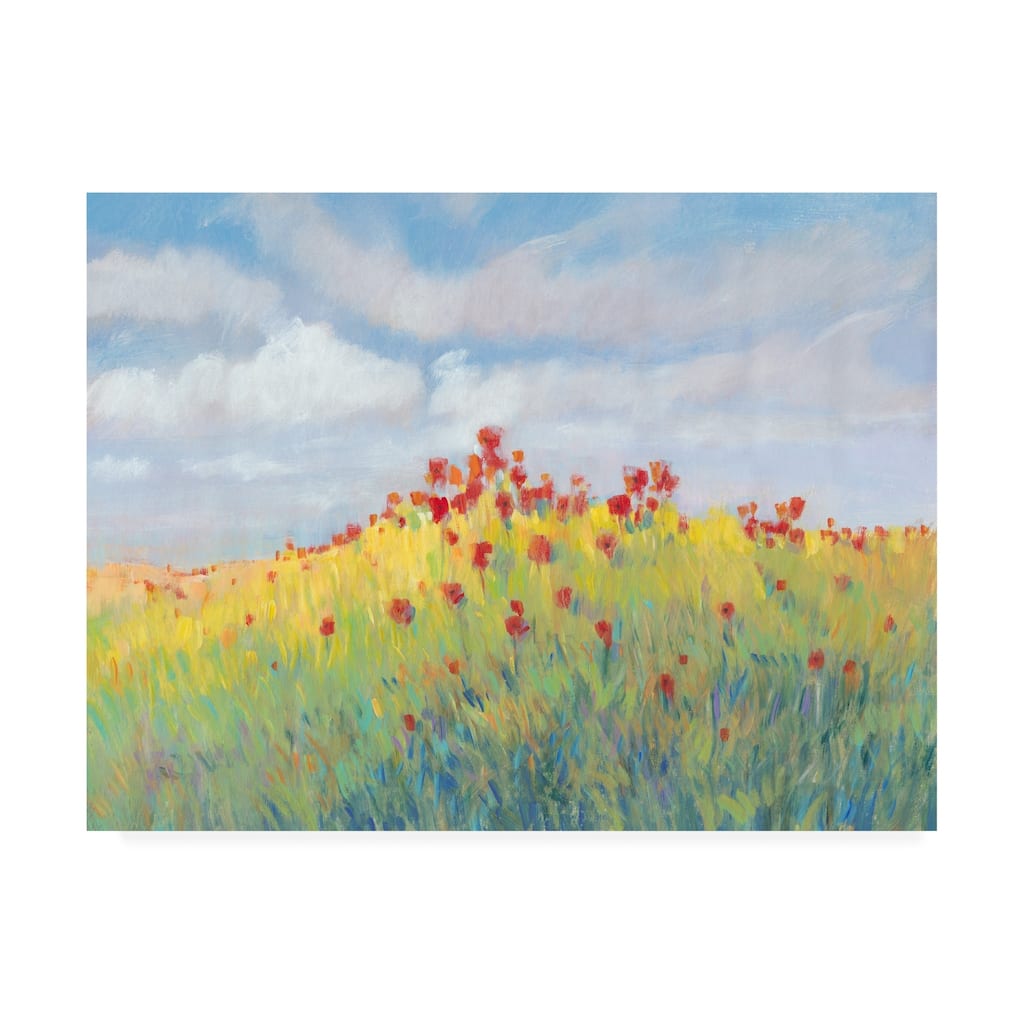 Tim OToole 'Summer Breeze Meadow II' Canvas Art
