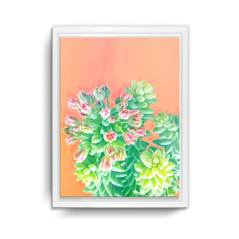 Ready2HangArt 'Fresh Growth' Framed Succulent Canvas Wall Art
