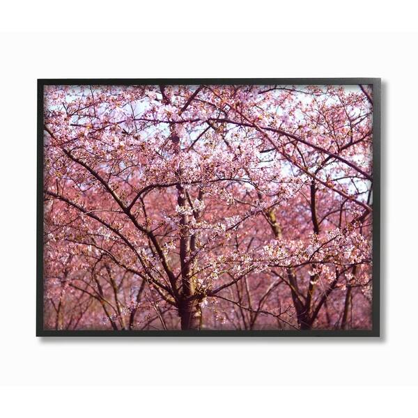 Shop The Stupell Home Decor Pink Sky Cherry Blossom Forest