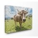 Stupell Fish-eye Swirled Look Cows in a Pasture Painting Canvas Wall ...