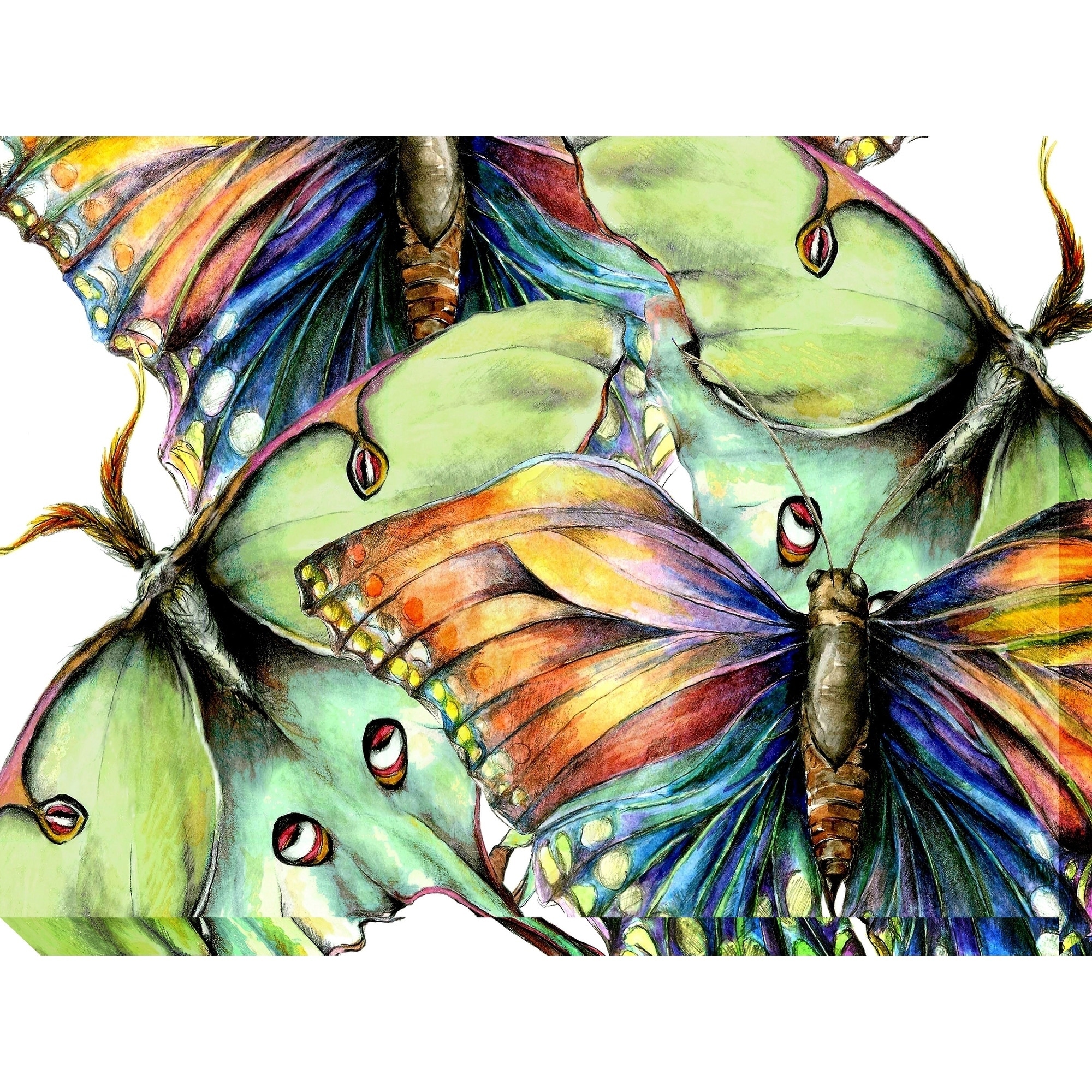 Бабочка пастелью