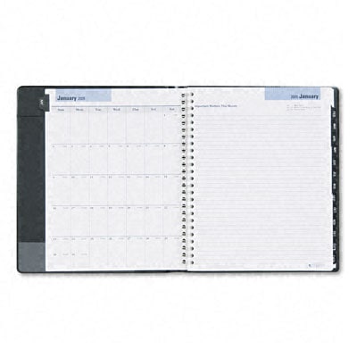At a glance Dayminder Refillable Exec Appointment Book