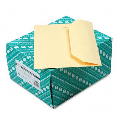 Document Envelopes  9 X 12 (100/box)