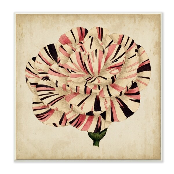 The Stupell Home Decor Striking Striped Tulip Bloom Aged Painting Wall Plaque Art, 12 x 12, Proudly Made in USA