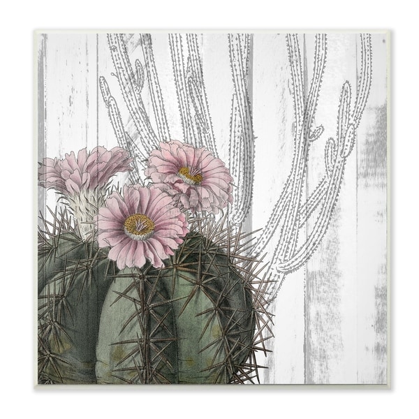 The Stupell Home Decor Cactus with Pink Blooming and Soft Grey Background Wall Plaque Art, 12 x 12, Proudly Made in USA