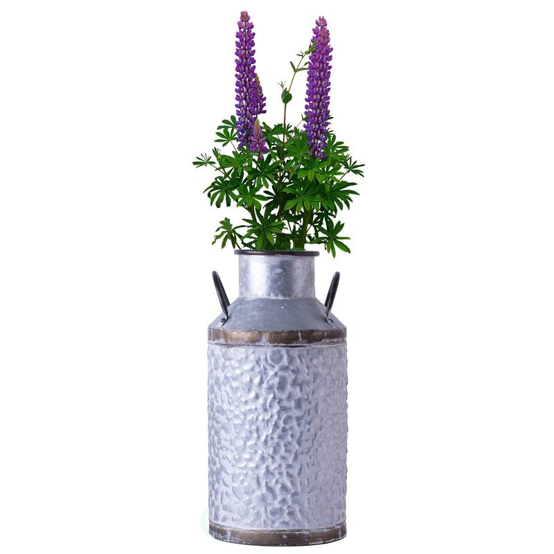 Rustic Farmhouse Galvanized Metal Milk Can Decoration Planter, Vase