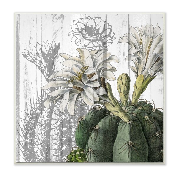 The Stupell Home Decor Cactus with White Blooming and Soft Grey Wall Plaque Art, 12 x 12, Proudly Made in USA - 12 x 12