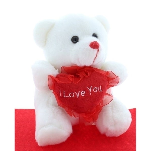 teddy bear birthday gift