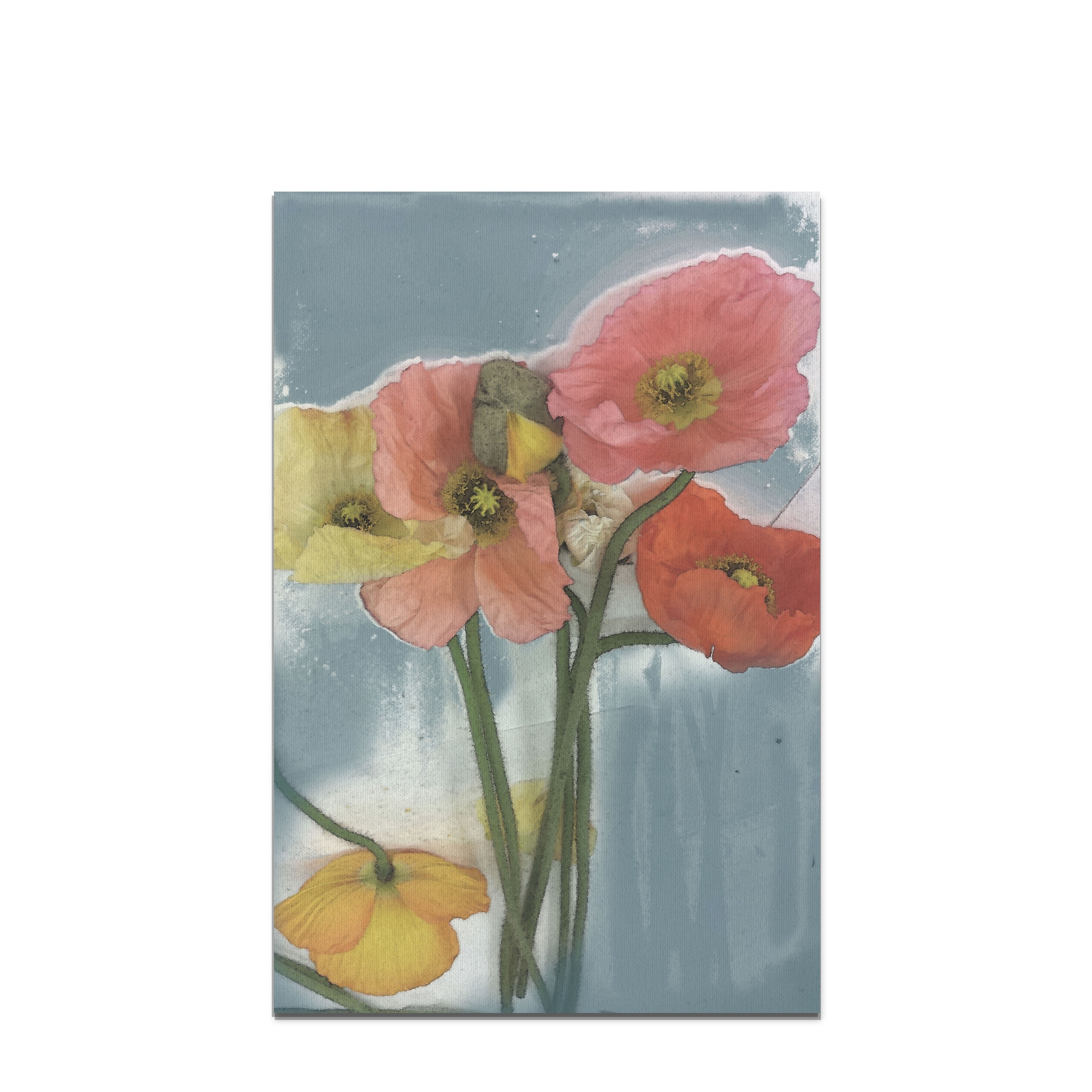 Wexford Home 'Poppy Spray II' Premium Gallery-wrapped Canvas