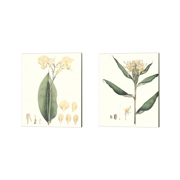 George Smith 'Soft Tropical B' Canvas Art (Set of 2)