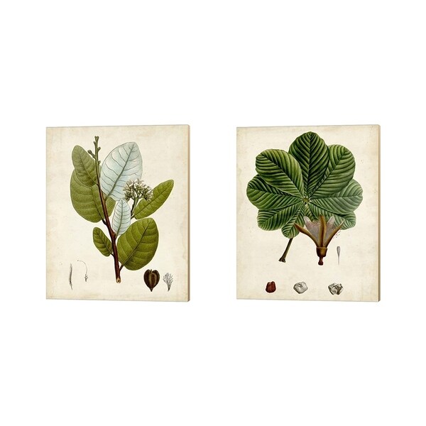 Vision Studio 'Verdant Foliage A' Canvas Art (Set of 2)