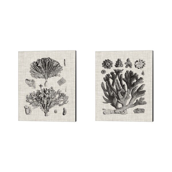 Vision Studio 'Coral Specimen A' Canvas Art (Set of 2)