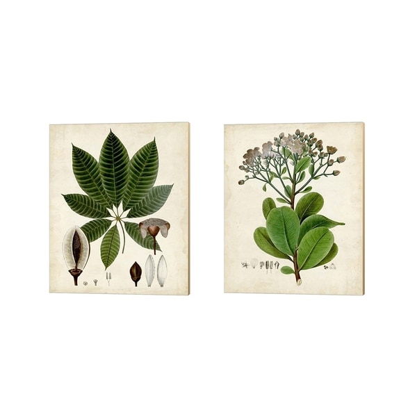 Vision Studio 'Verdant Foliage B' Canvas Art (Set of 2)