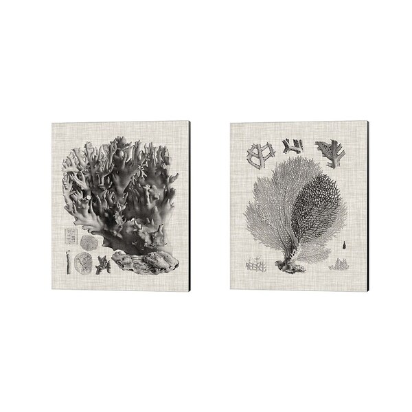Vision Studio 'Coral Specimen B' Canvas Art (Set of 2)
