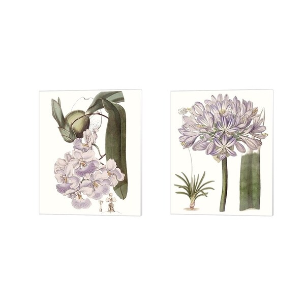 Edwards 'Lavender Beauties B' Canvas Art (Set of 2)