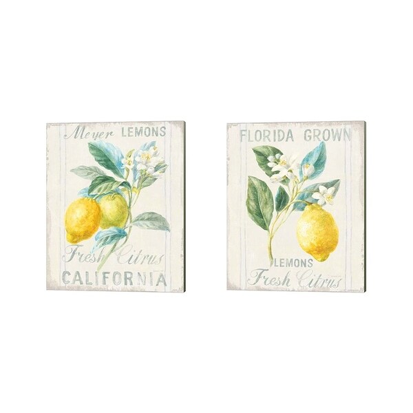 Danhui Nai 'Floursack Lemon' Canvas Art (Set of 2)