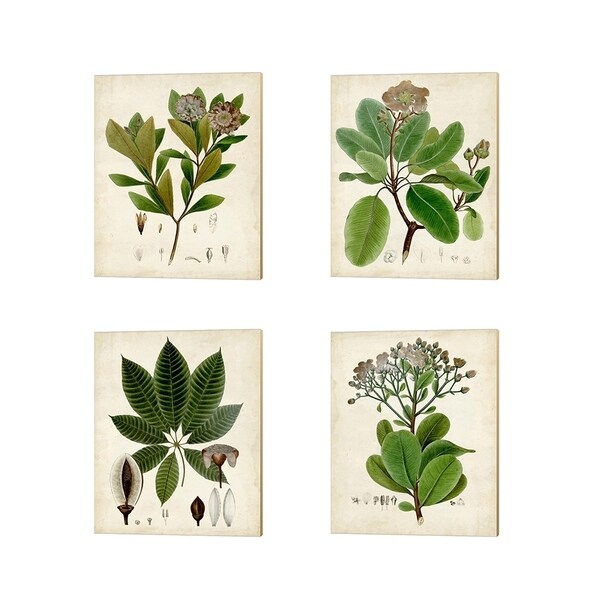 Vision Studio 'Verdant Foliage B' Canvas Art (Set of 4)