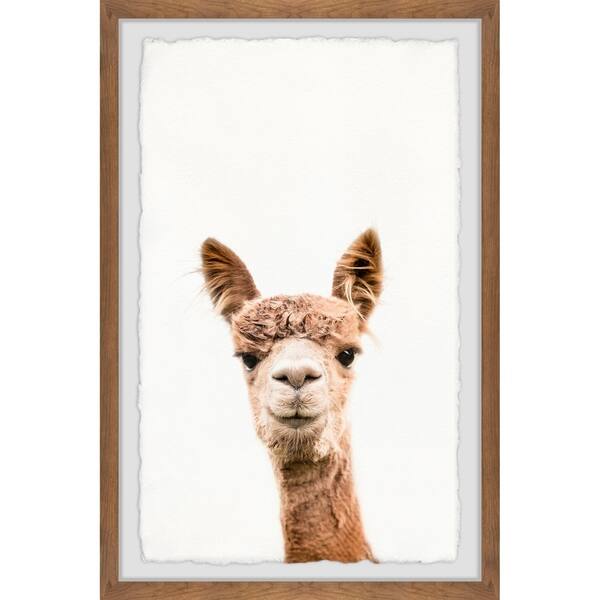 Shop Marmont Hill Handmade Llama Face Iv Framed Print