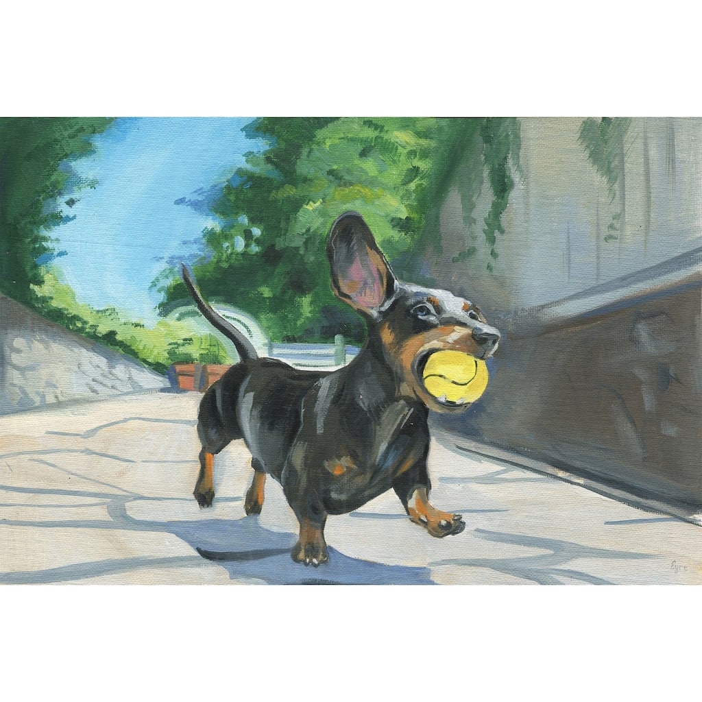 'Dachshund Ball' Painting Print on Wrapped Canvas - Multi-Color